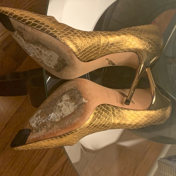 Gold Snake - Picture 4 of 12